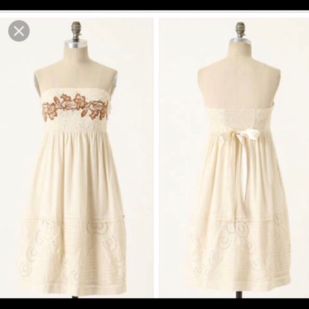 Anthropologie Embroidered Freesia dress 4-6 S